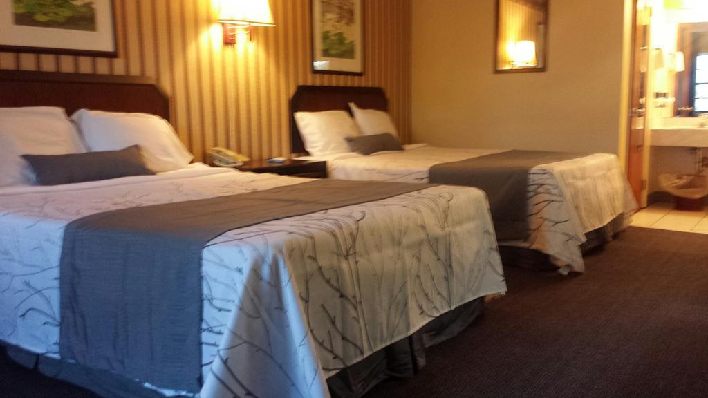 Deerwood Inn & Madison Campground Room photo